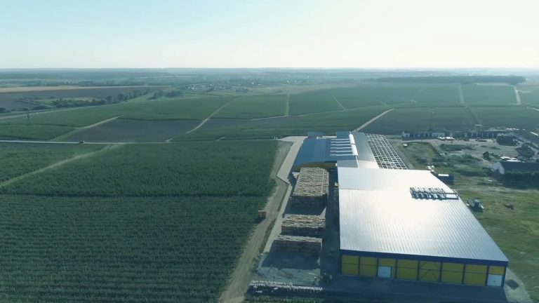 Sace, da inizio pandemia 54 mld a sostegno imprese