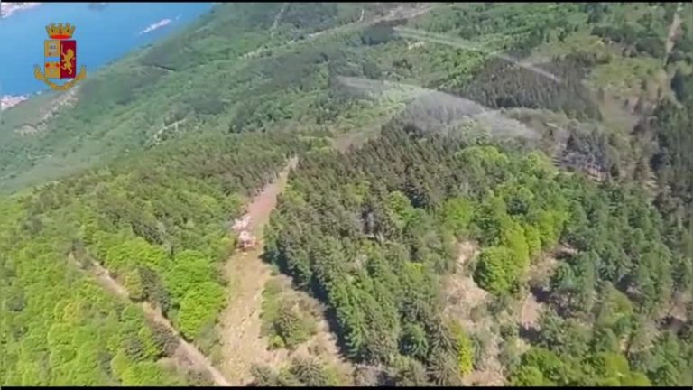 Crolla funivia Mottarone, la Polizia sorvola il luogo dell’incidente