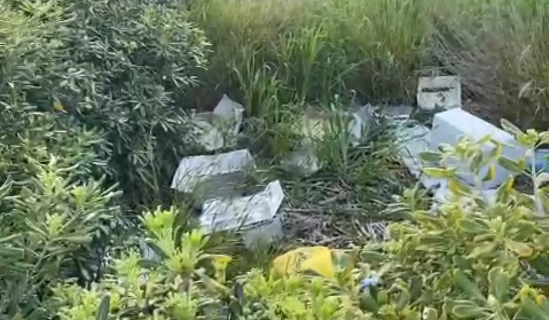 Trapani: blitz di notte a Piazzale Ilio, scoperto mercato abusivo di pesce. Multe e sequestri