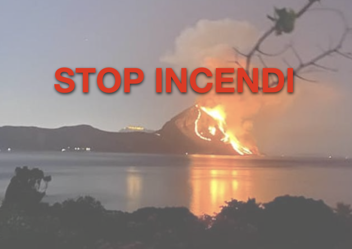 Flash Mob a San Vito Lo Capo per dire no agli incendi