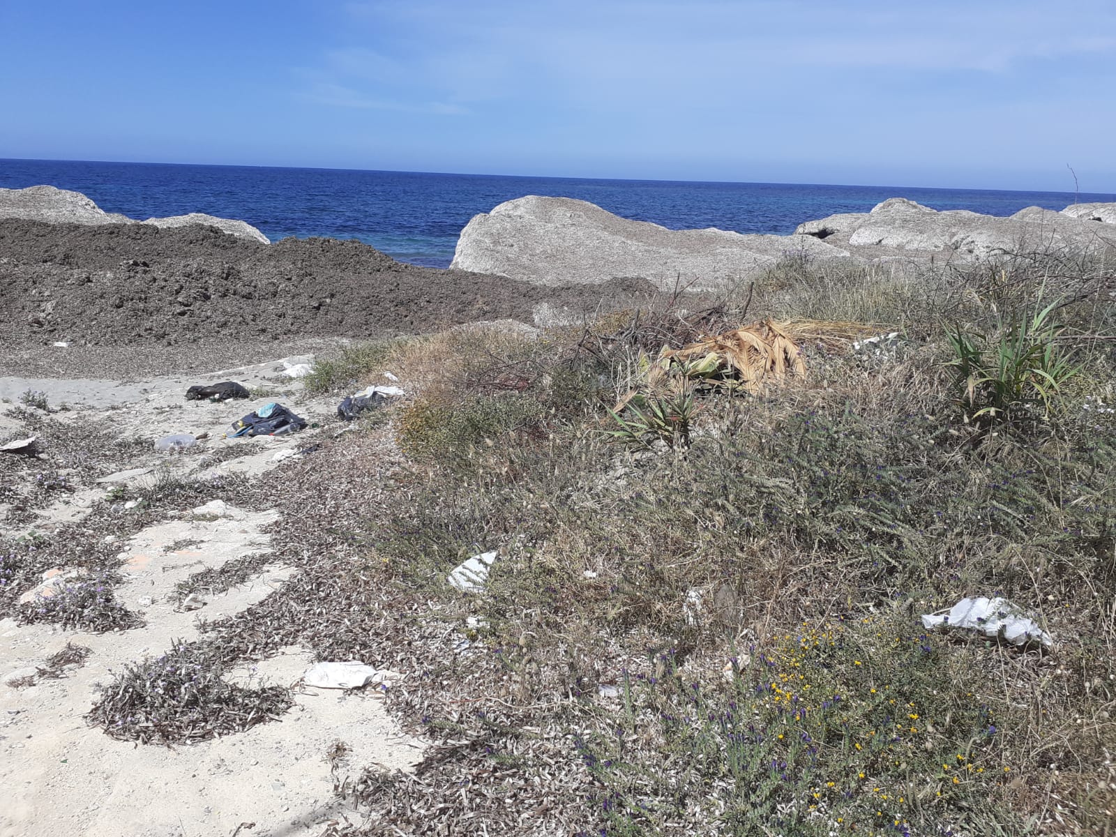 Marsala: erbacce e rifiuti invadono il litorale sud dei lidi