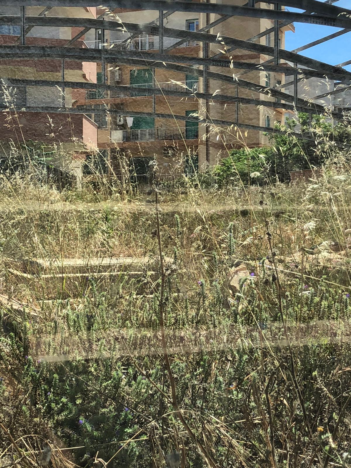 Marsala: scavi via del Fante incolti e abbandonati