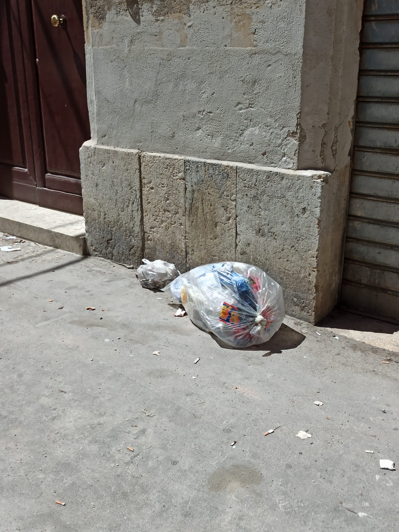 Trapani: pulizia nelle strade, il sindaco dispone di piantare nuovi alberi