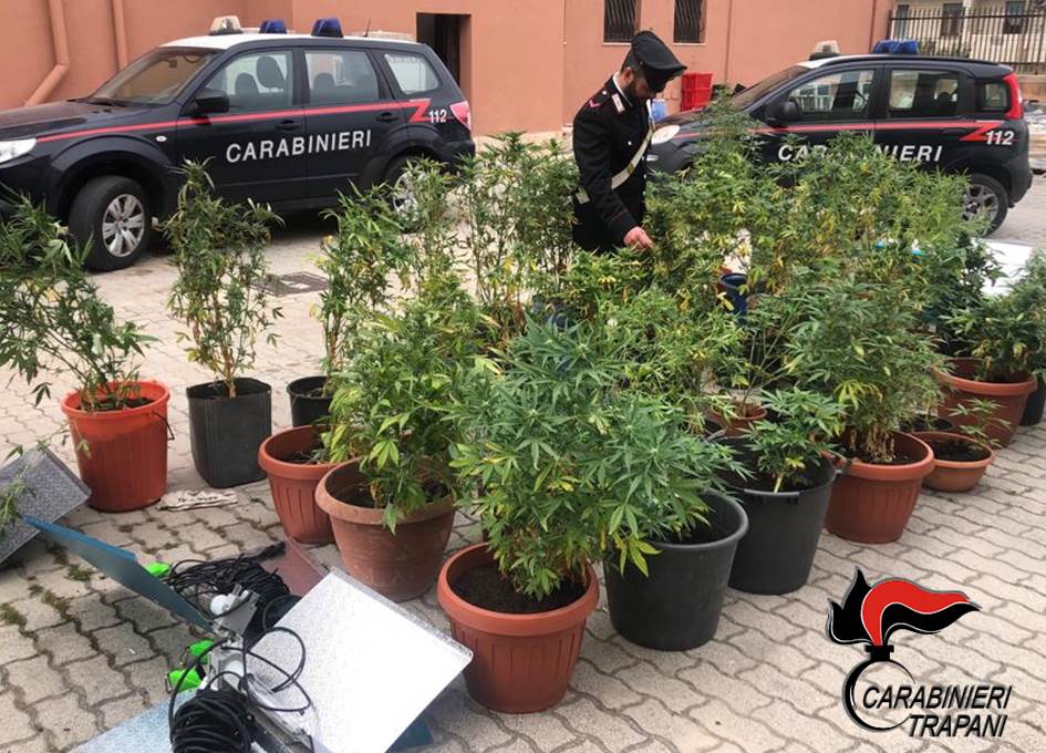 Pantelleria: arrestato isolano dal “pollice verde” per… la marijuana