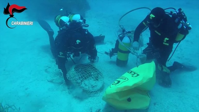 Recuperate anfore III secolo a.C. dai fondali del mare di Favignana