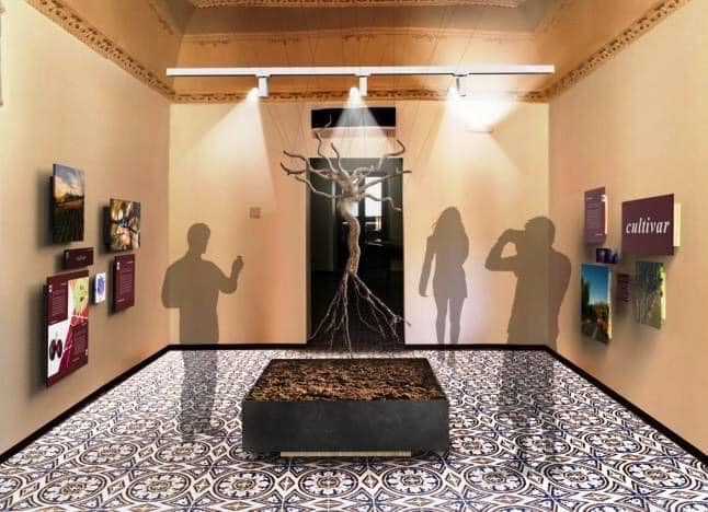 Marsala: ammesso a finanziamento il Museo del Vino