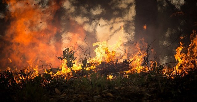 Incendi, Governo Musumeci dichiara stato di crisi e di emergenza in Sicilia