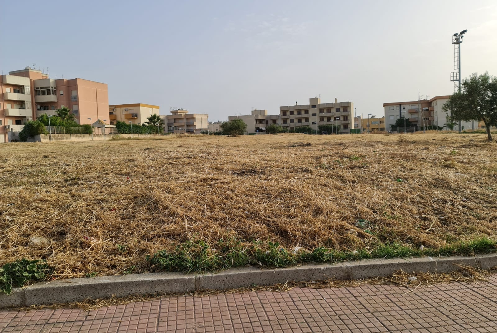 Paceco: Al via la scerbatura delle aree verdi e pulizia dei canali