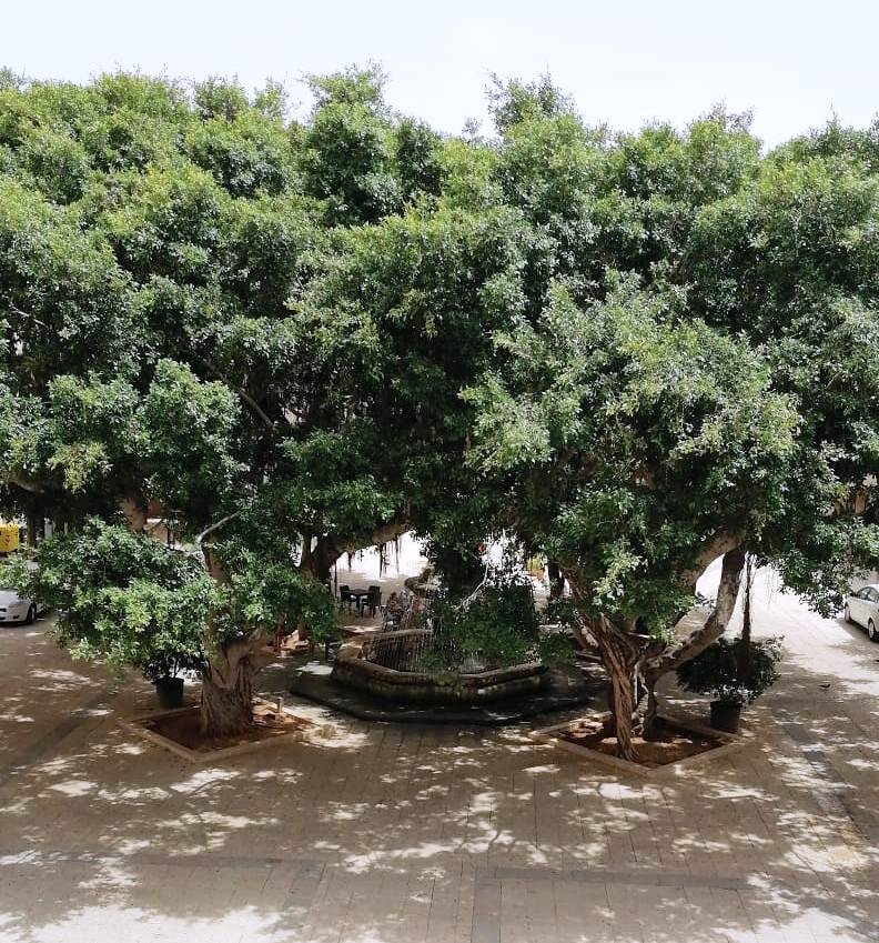 Marsala: approvato il regolamento comunale di disciplina dei concorsi pubblici