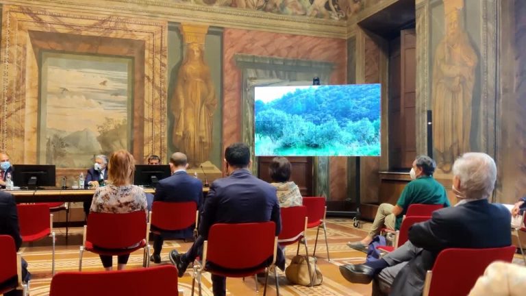 Torna il bando “Agro-Social: seminiamo valore”