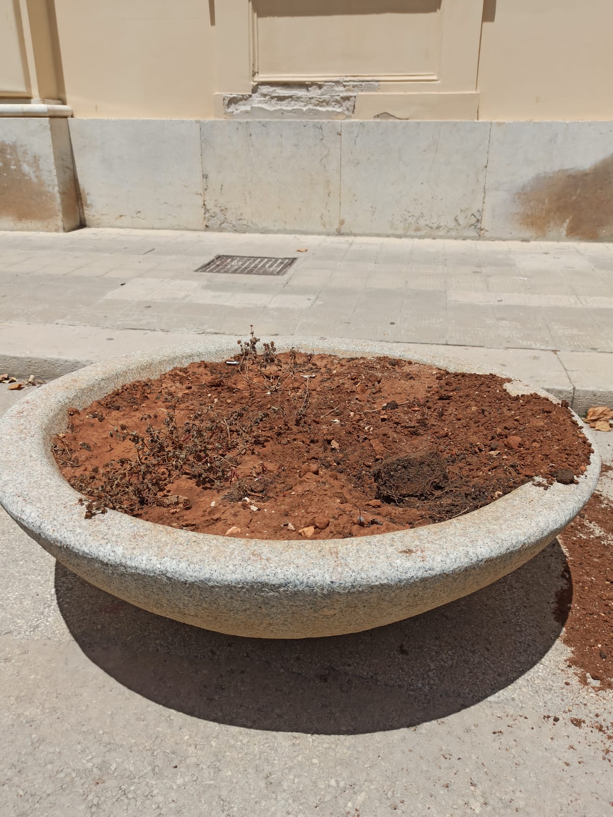 Trapani: il Comune mette in mora la ditta: “Non si è presa cura del verde della Città”