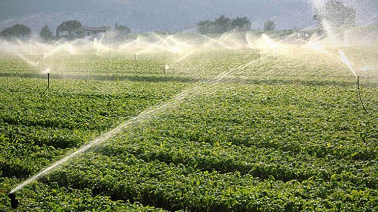 In Sicilia deroga alla rotazione delle colture, colpa delle condizioni climatiche