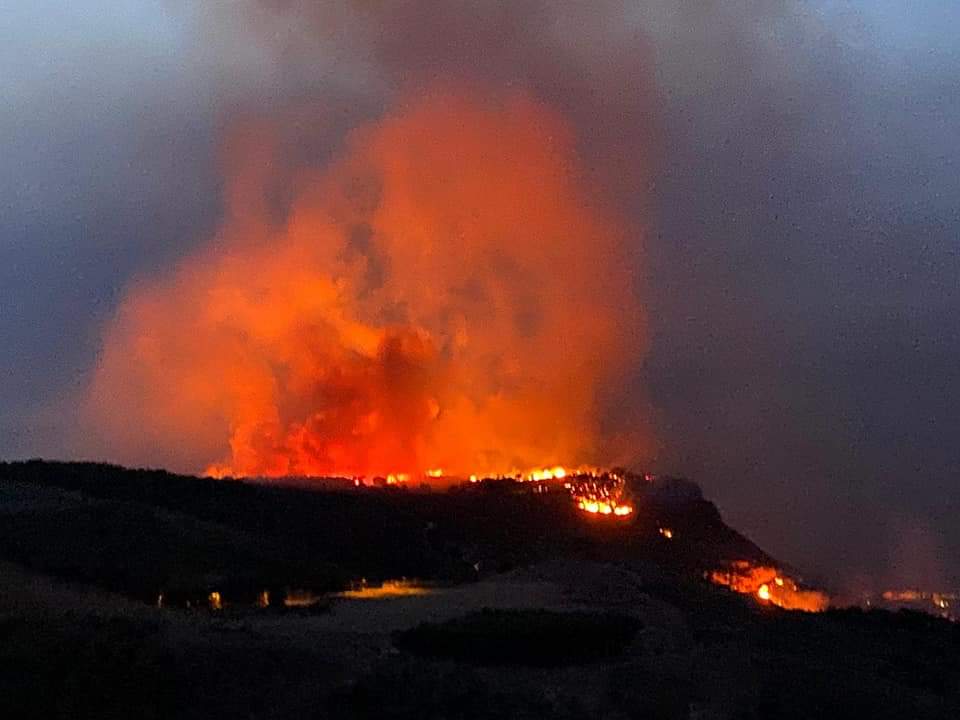 Erice in fiamme, l’incendio divora vegetazione e lambisce le case