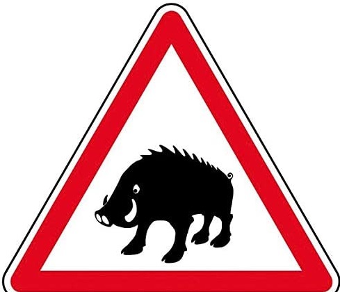 Castellammare: SoS cinghiali, segnaletica di pericolo in alcune vie