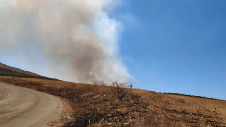 Incendi estivi, Insieme Sicilia: “Bisognava fare prevenzione ad aprile”