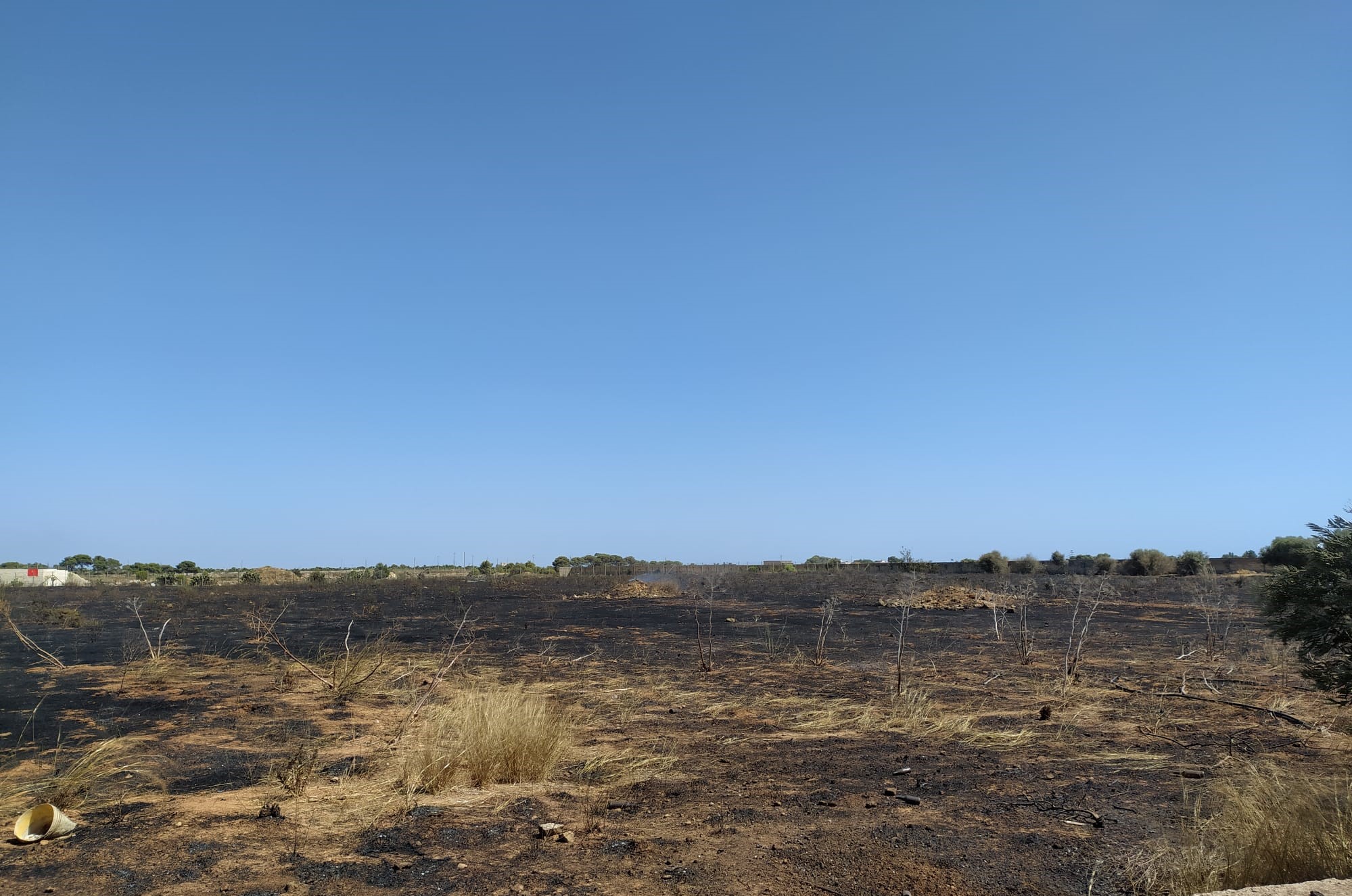 Marsala: incendi a Ventrischi e al Parco di Salinella