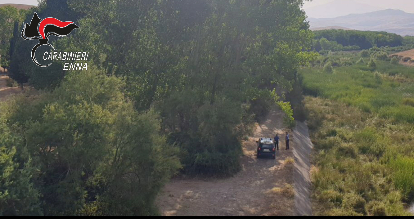 Incendi, allevatori appiccano fuoco sui Nebrodi. Arrestati due piromani