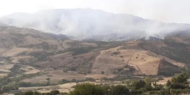 Incendi in Sicilia, gravi danni  alla zootecnia: le richieste della Cia al governo Musumeci
