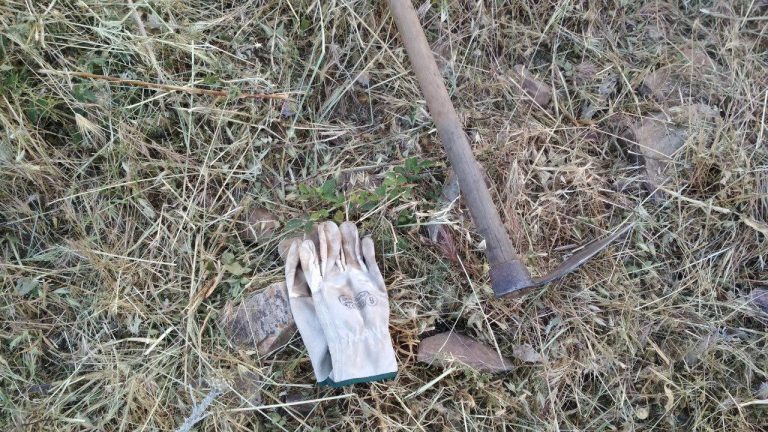 Forestali su incendi: “Regione sotto accusa, non si può prevenire a luglio”. Faraone (IV): “Subito ristori”