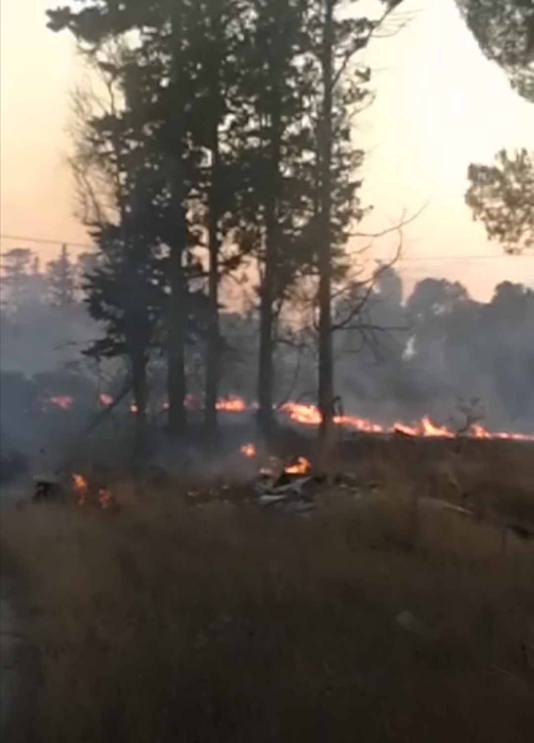 Incendi nel trapanese, fiamme di sterpaglie a Dattilo e via San Silvestro