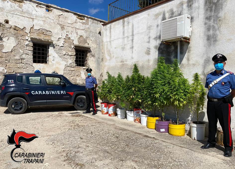Droga a Trapani: scoperta coltivazione di marijuana, un 51enne ai domiciliari
