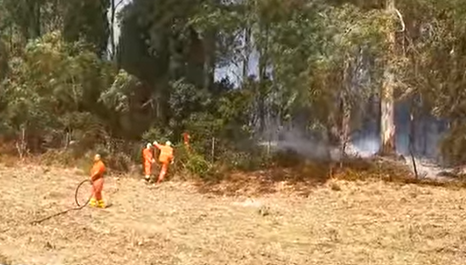 Un incendio distrugge gran parte del Bosco Scorace