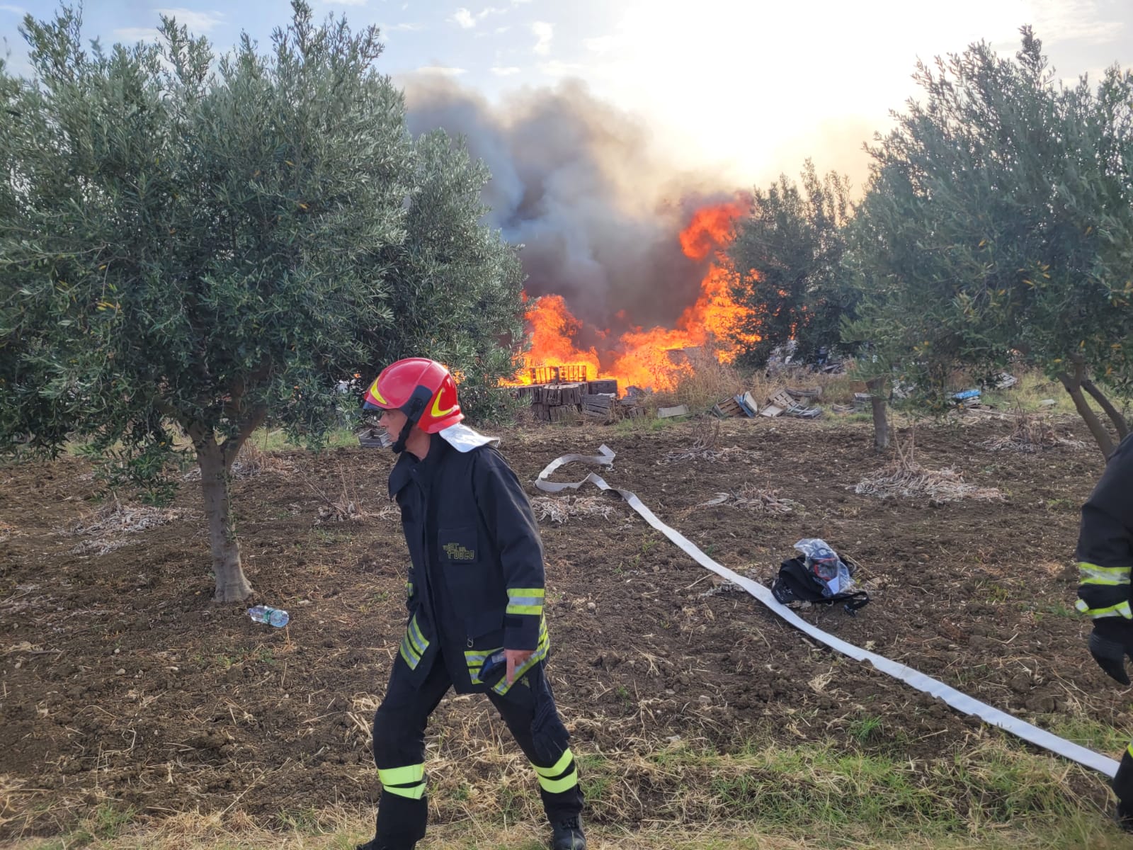Mancata retribuzione di giugno per i lavoratori assunti dall’Ispettorato dipartimentale delle foreste di Trapani, la protesta dei sindacati
