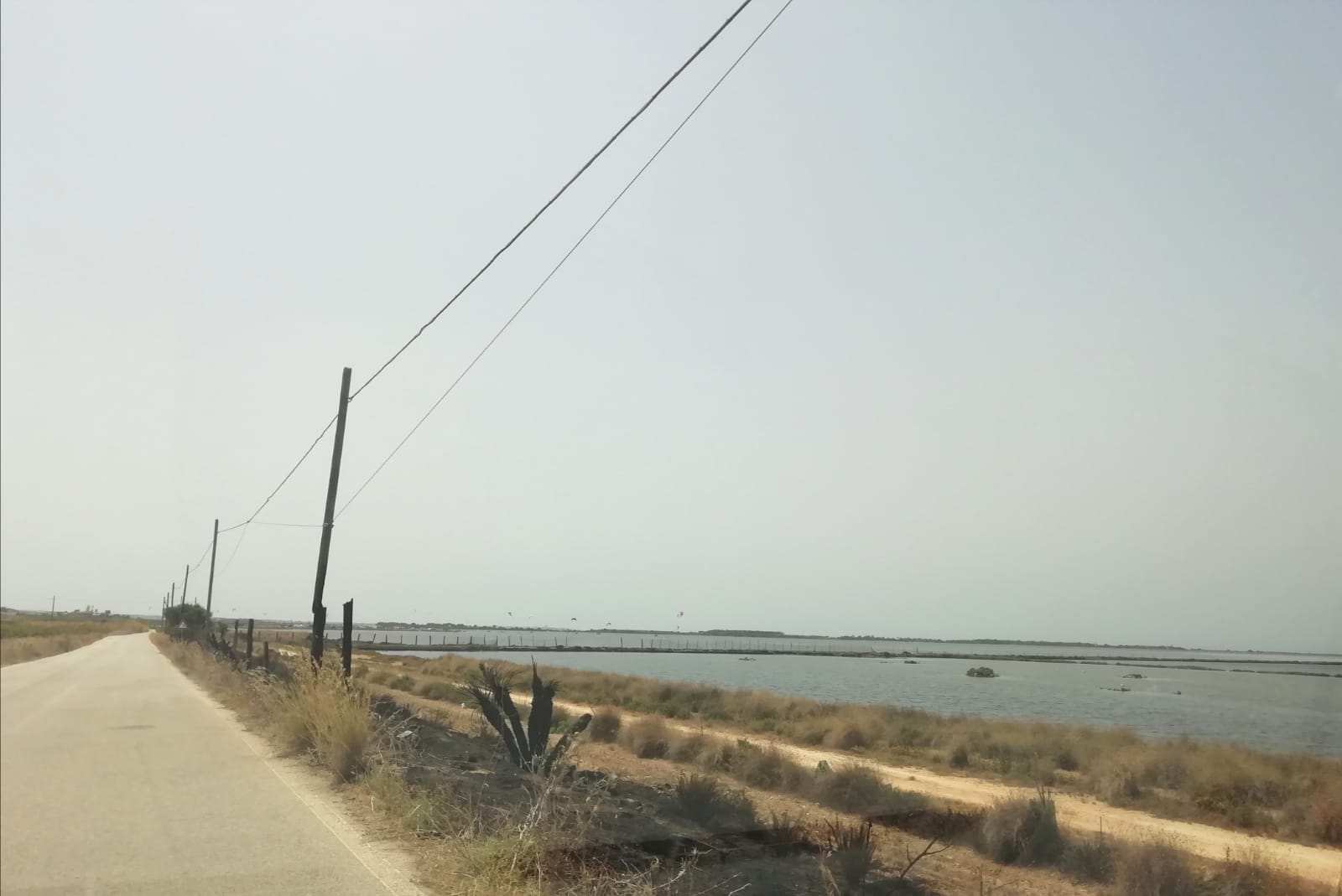 Numerosi incendi a Marsala. Lungo intervento dei vigili del fuoco a San Teodoro