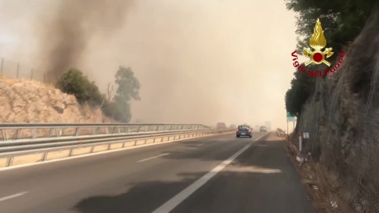 Incendi nel palermitano, una denuncia nel trapanese