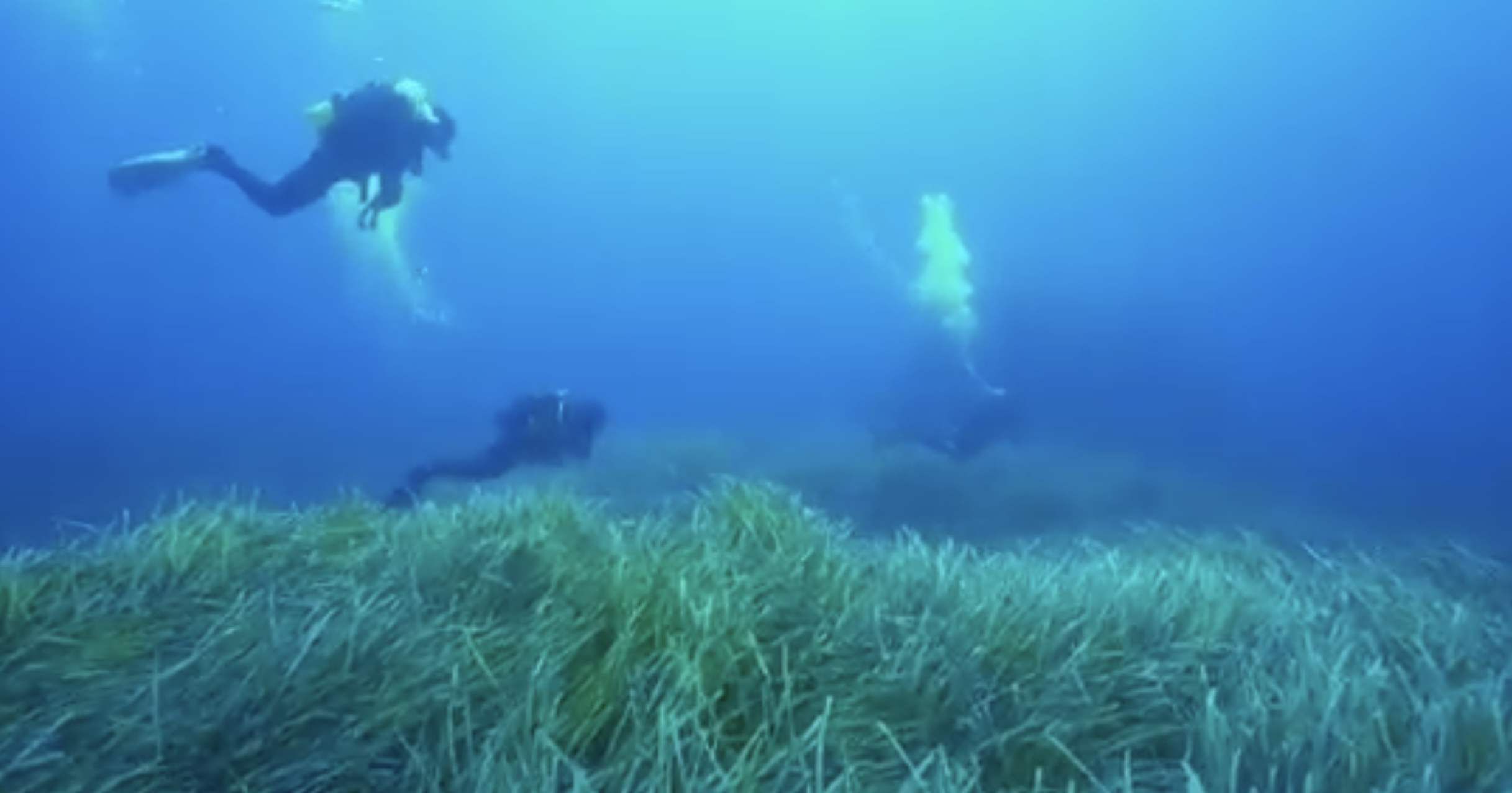 Si trova a Marettimo l’ultimo itinerario archeologico sommerso della Sicilia. VIDEO