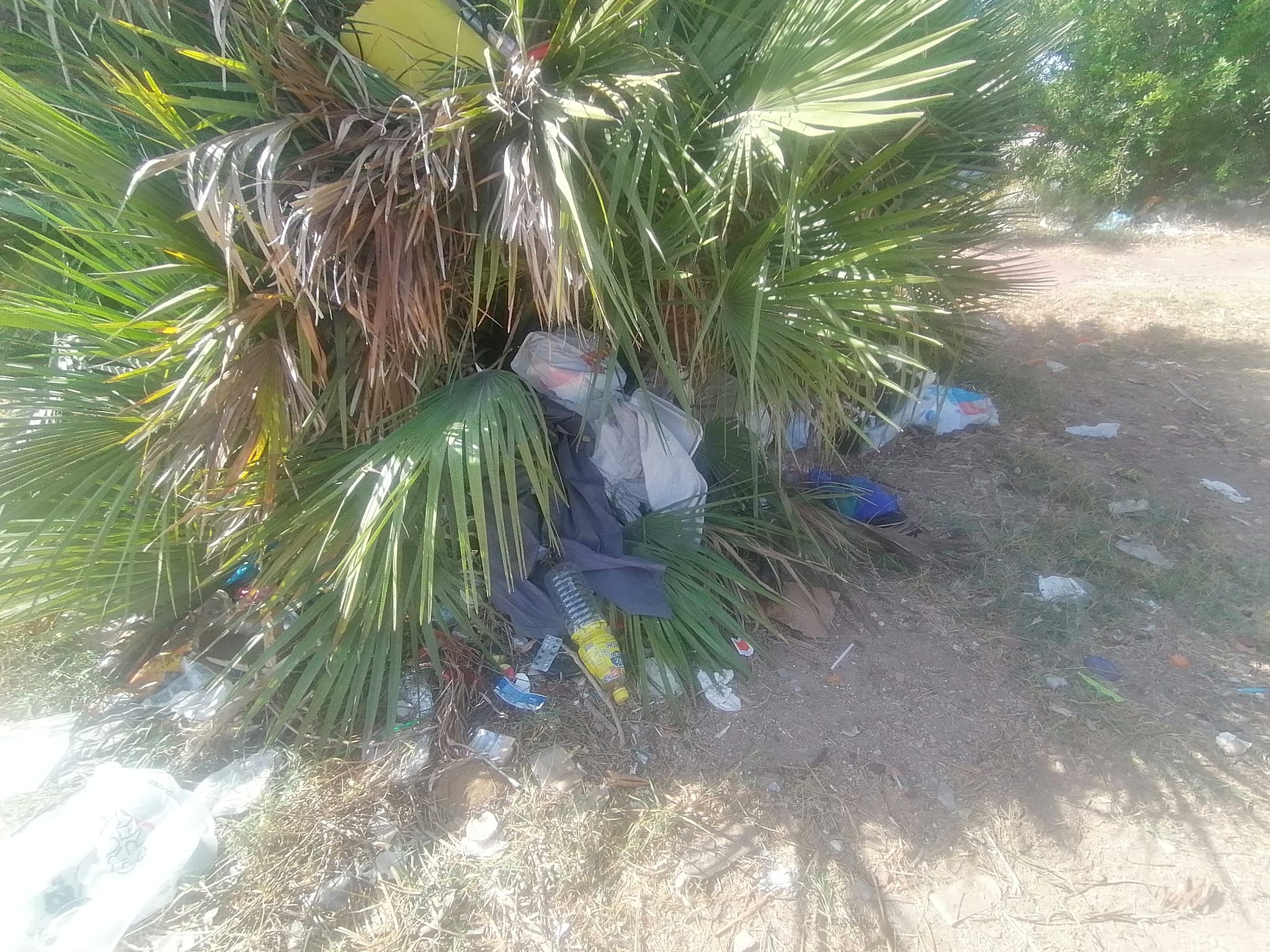 Marsala: degrado al parcheggio del Salato, la denuncia di Konsumer