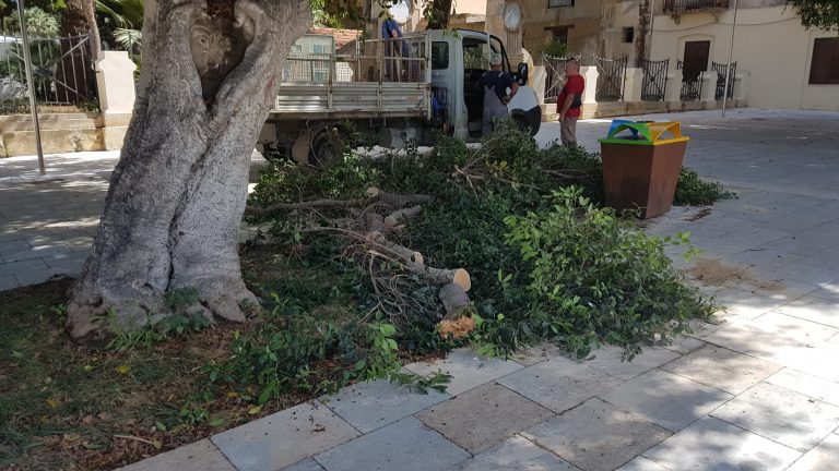 Pioggia e danni: ecco cosa è accaduto a Marsala lo scorso fine settimana. Cade uno degli alberi di Porta Nuova
