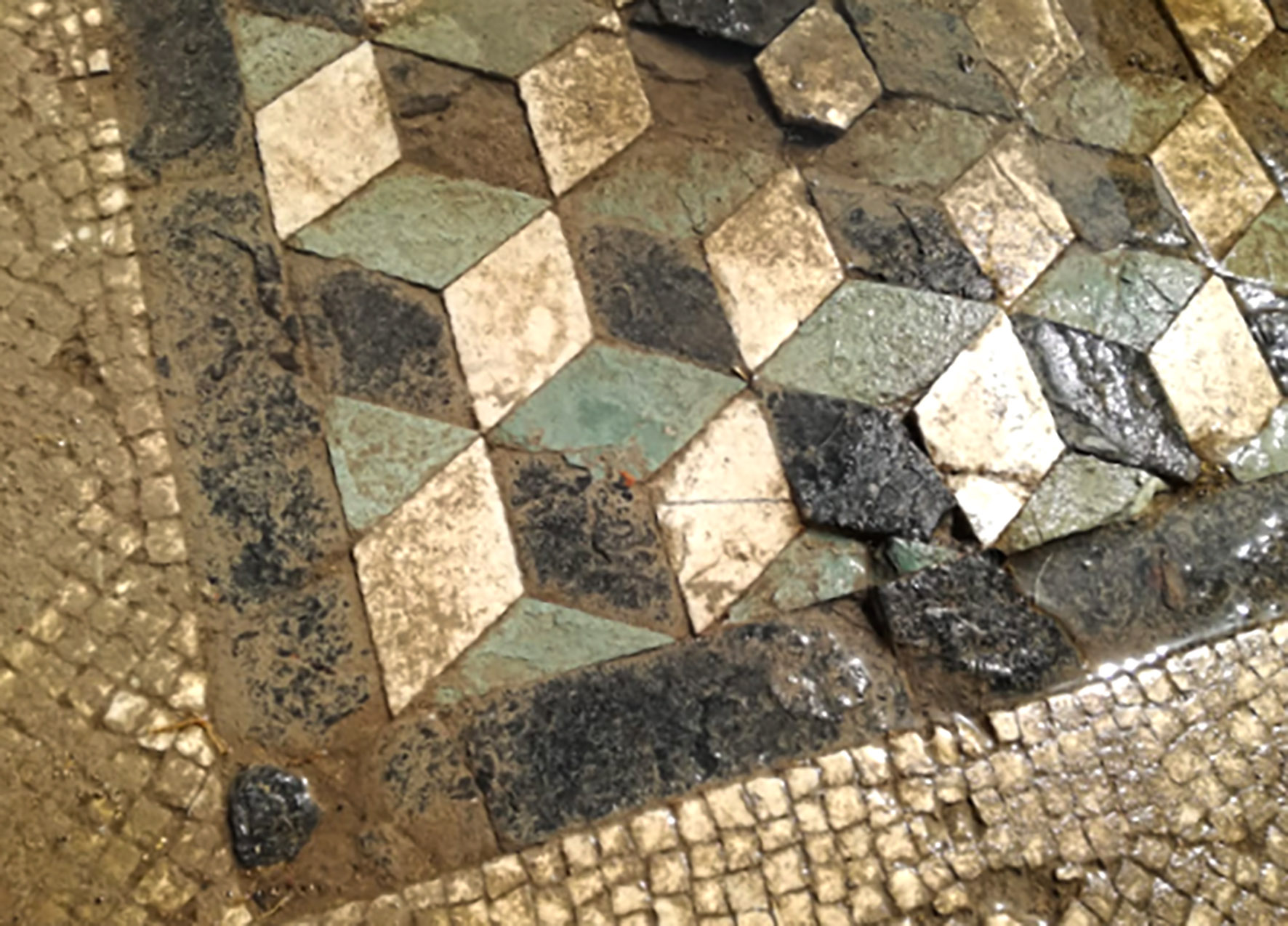 I mosaici nella Casa del Navarca di Segesta uguali a quelli dei Grifi sul Palatino. La scoperta in un convegno a Erice