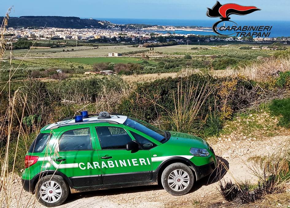 A Xitta scoperta azienda con maneggio abusivo: multe per 48mila euro