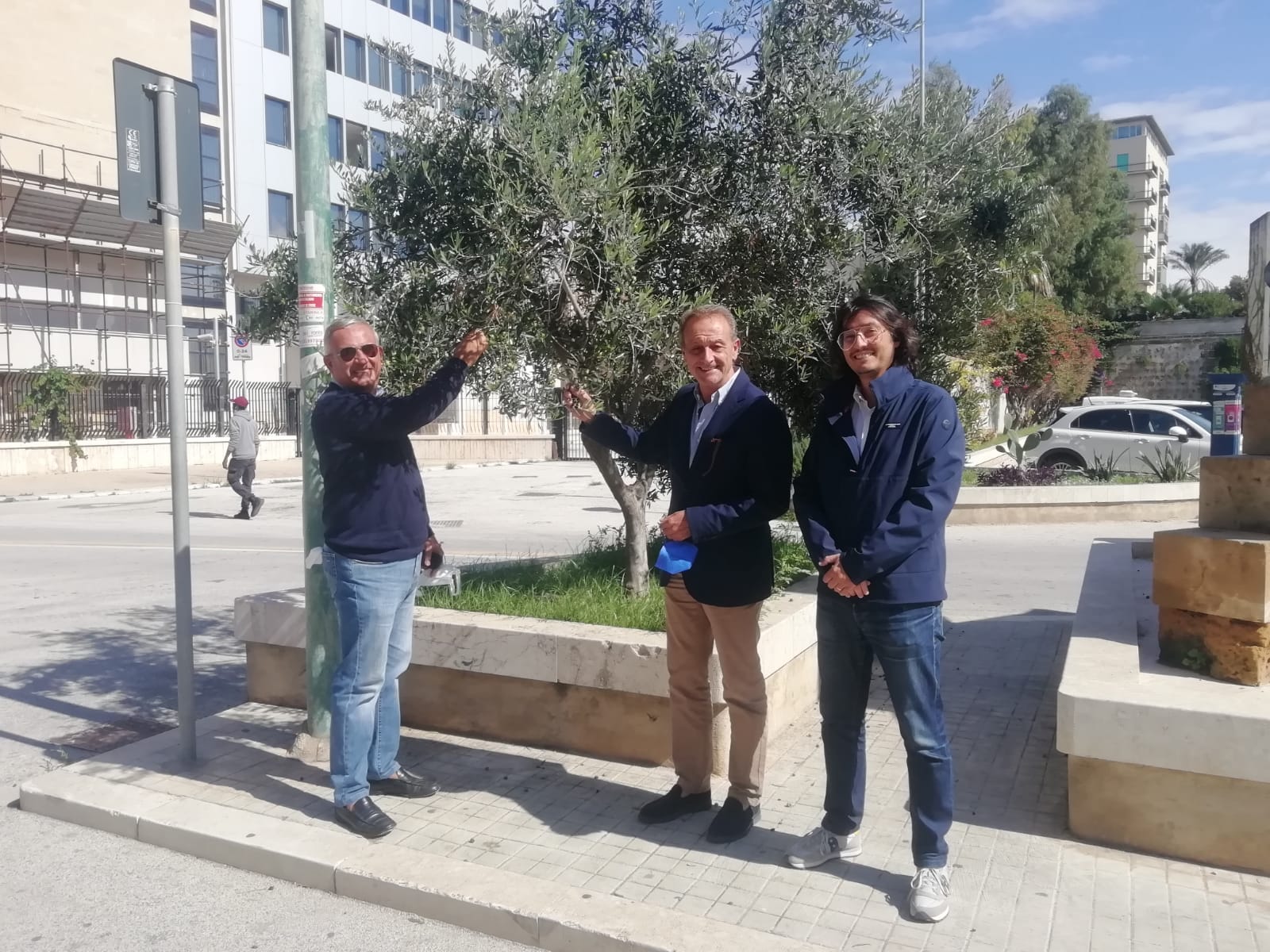 Raccolta olive in terreni comunali, a Trapani il 27% dell’olio andrà a chi ha bisogno