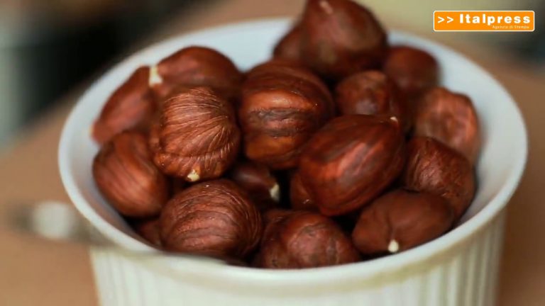 Produzione di nocciole in calo per meteo e parassiti