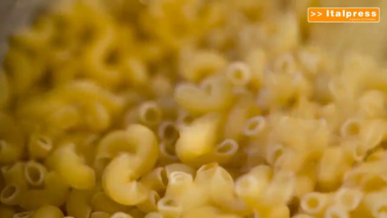 World Pasta Day, italiano 60% del grano duro utilizzato