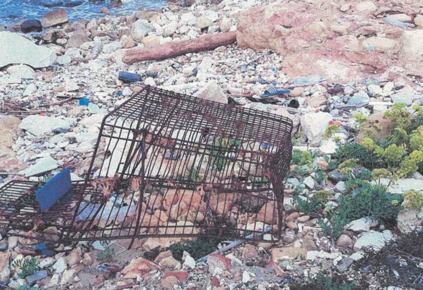 Trapani: giovane segnala rifiuti e scarichi sul litorale, il sindaco avvia bonifica