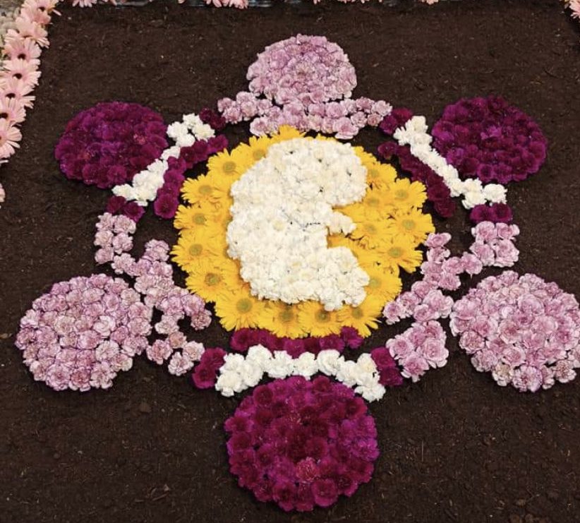 Infiorata antiaborto, il sindaco insiste: “Le foto non verranno cancellate. Attacchi da becera politica”