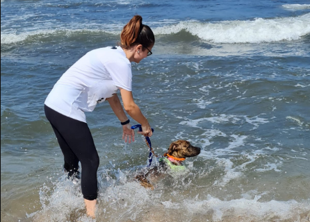 Come fare felice un randagio? Portandolo al mare! Iniziativa dell’Oipa di Trapani