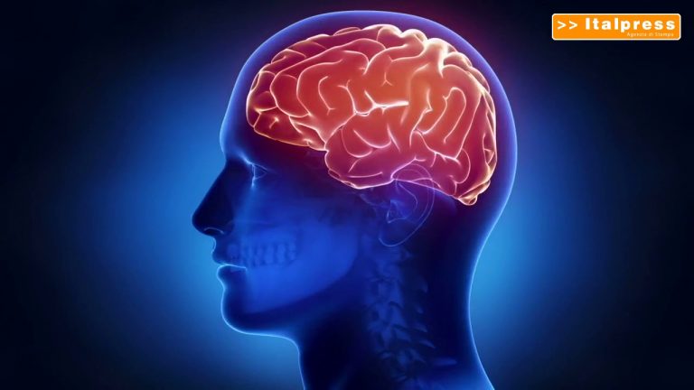 Scoperte, così il cervello si protegge dalle infiammazioni intestinali