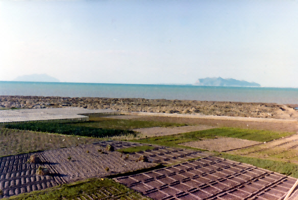 L'area della Salinella nel 1974