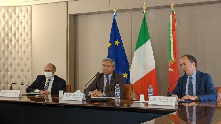 Vini Doc Sicilia, Regione e Irvo presentano i nuovi contrassegni per la tracciabilità