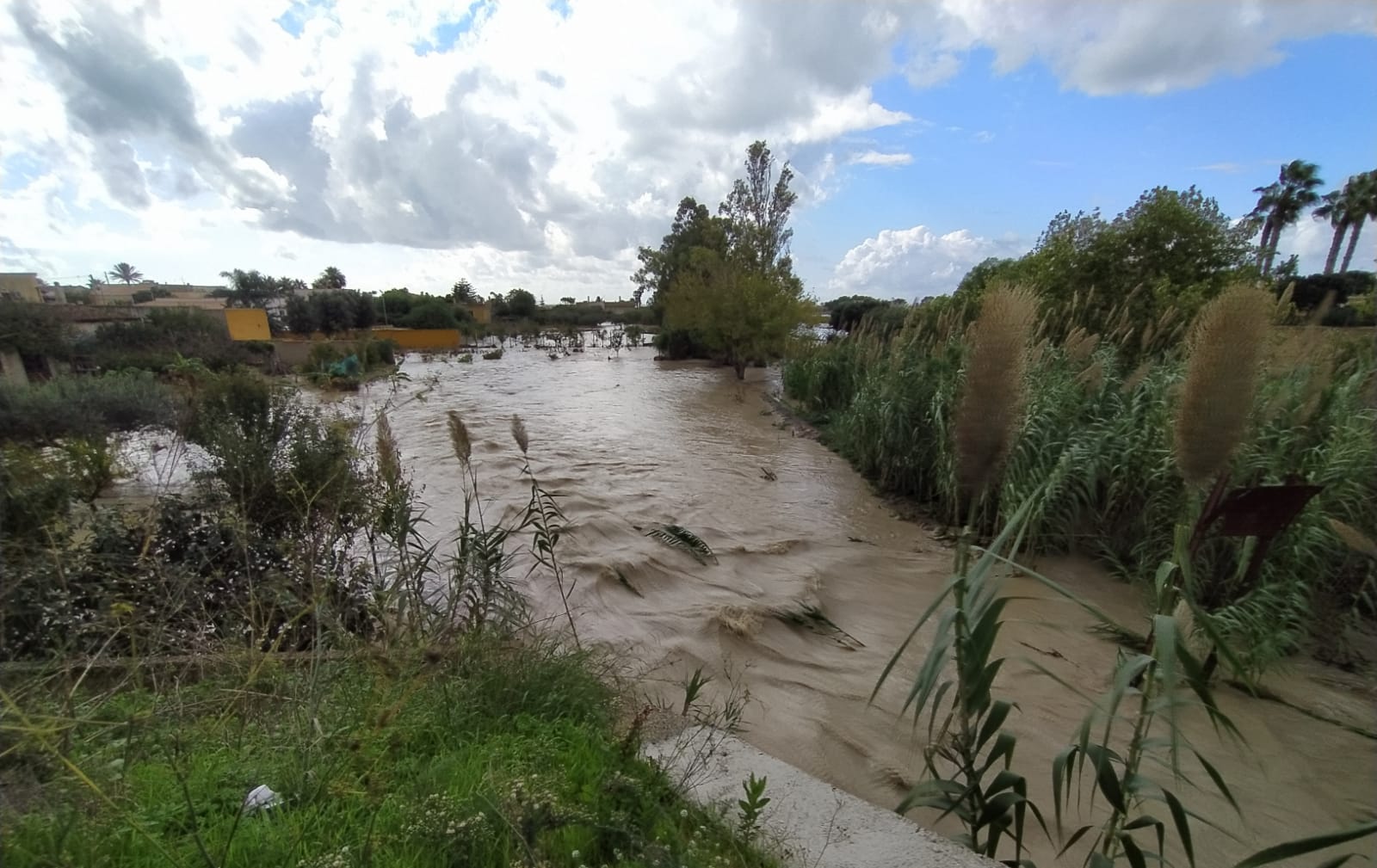 Piogge autunnali, direttiva del sindaco di Marsala per la manutenzione preventiva del territorio