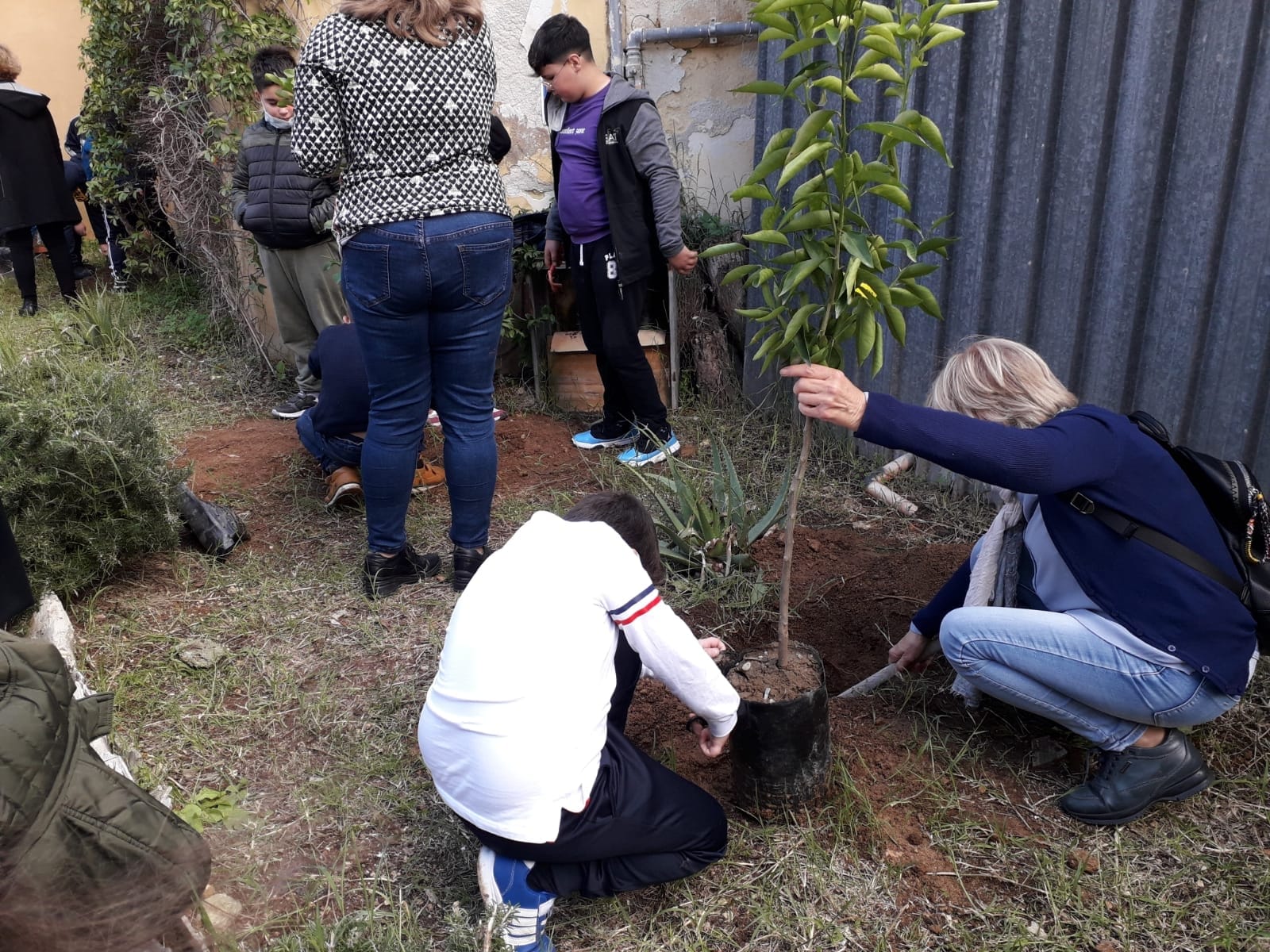 Festa dell’Albero alla “Cosentino” di Marsala, nuovo verde per la scuola