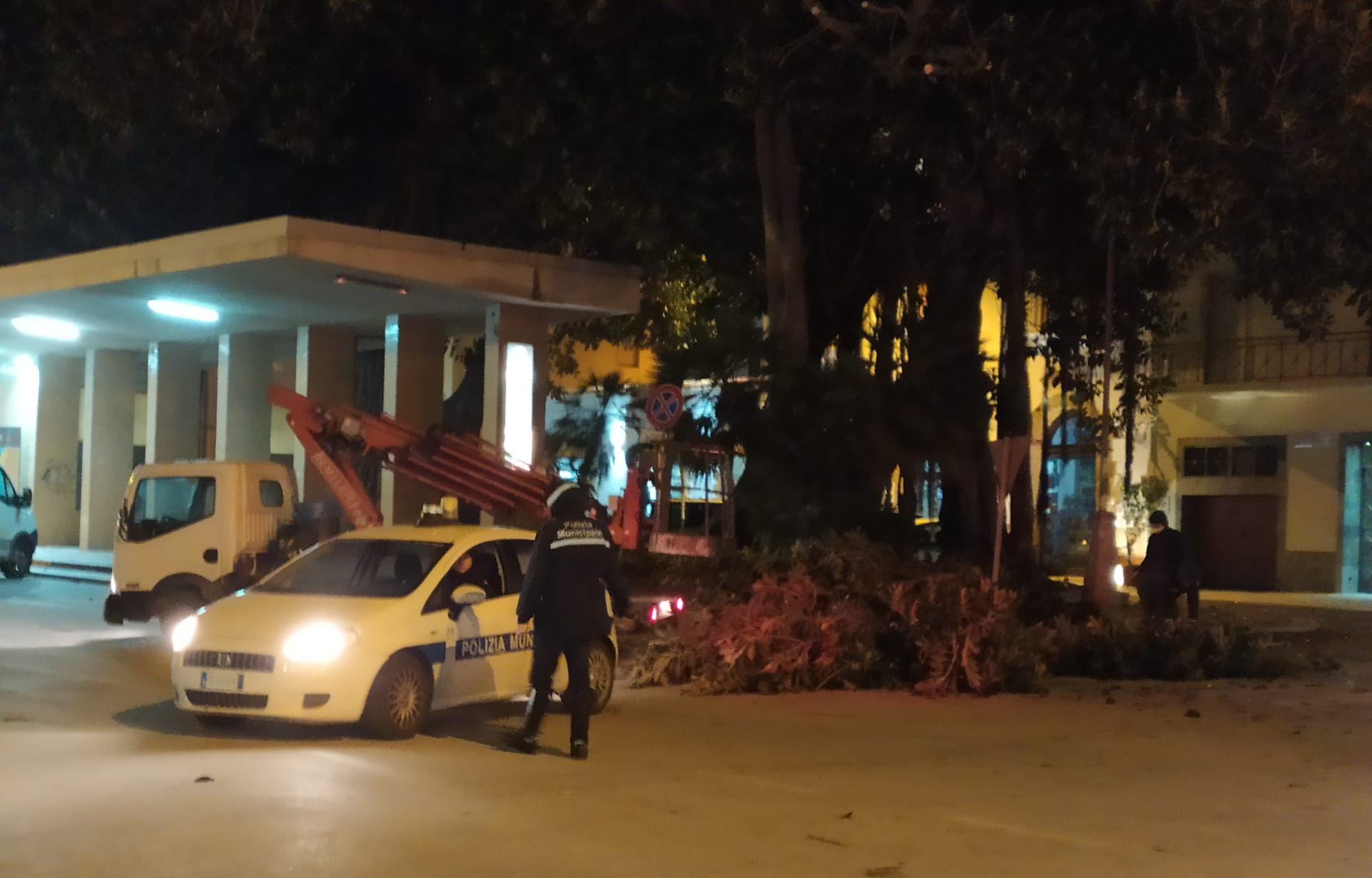 Marsala, grosso ramo si stacca dall’albero in Piazza del Popolo. Cade anche palo della luce