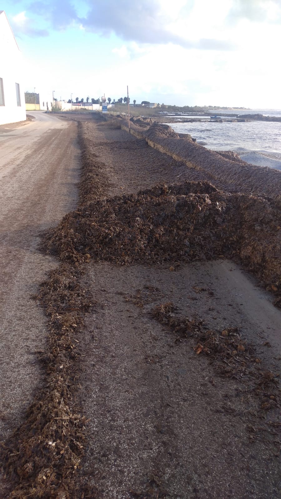 Maltempo a Marsala, tutti gli interventi per i danni in centro e nei versanti sud e nord
