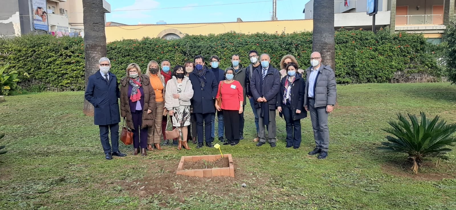 Nel giardino del “Damiani” piantumato esemplare dell’‘albero di Falcone’