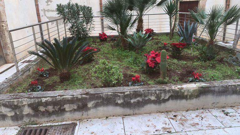 Alcamo natalizia, la Città si veste di addobbi floreali