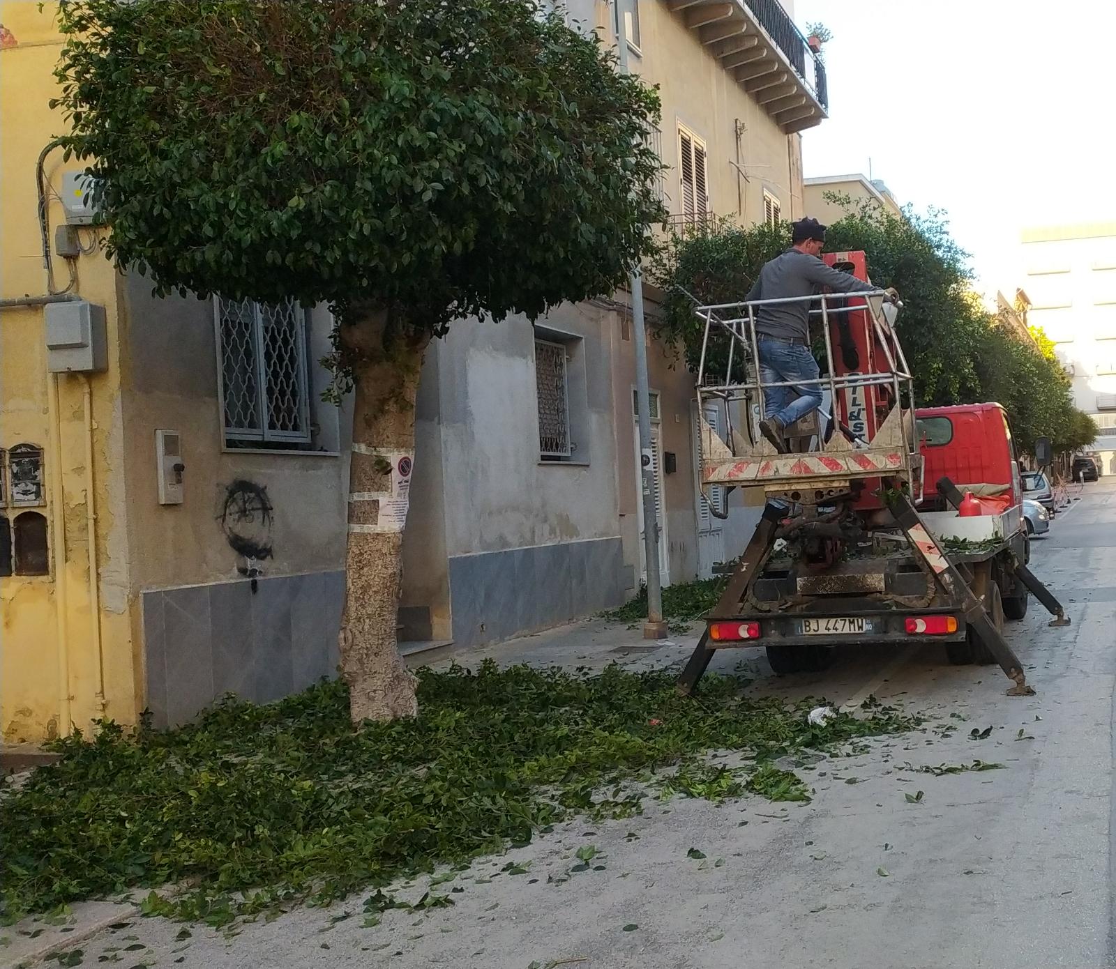 Marsala: la potatura degli alberi continua in via dello Sbarco